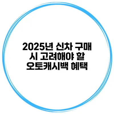 2025년 신차 구매 시 고려해야 할 오토캐시백 혜택