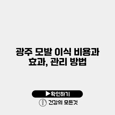 광주 모발 이식 비용과 효과, 관리 방법