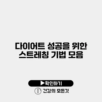 다이어트 성공을 위한 스트레칭 기법 모음