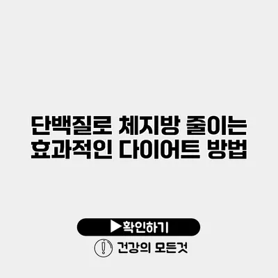 단백질로 체지방 줄이는 효과적인 다이어트 방법