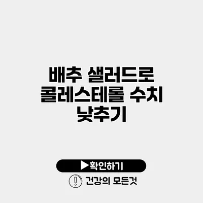 배추 샐러드로 콜레스테롤 수치 낮추기