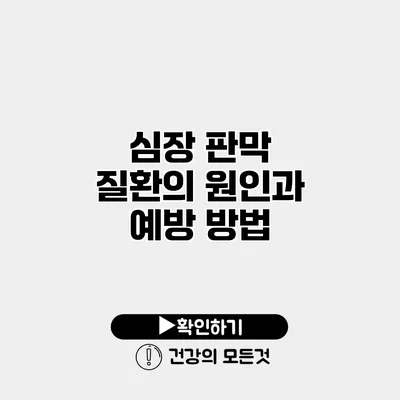 심장 판막 질환의 원인과 예방 방법
