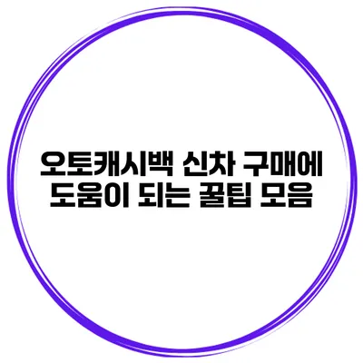 오토캐시백 신차 구매에 도움이 되는 꿀팁 모음