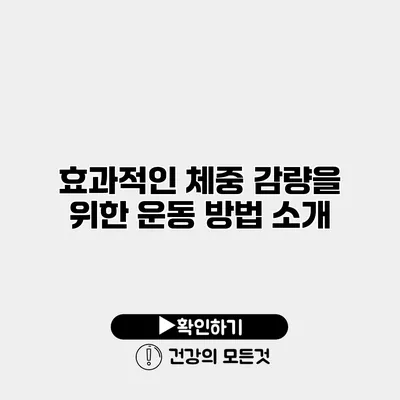 효과적인 체중 감량을 위한 운동 방법 소개