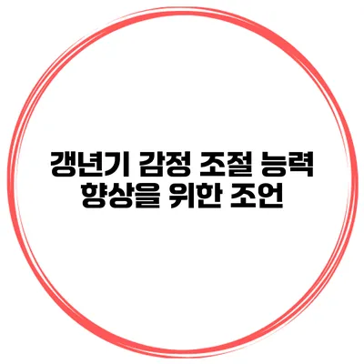 갱년기 감정 조절 능력 향상을 위한 조언