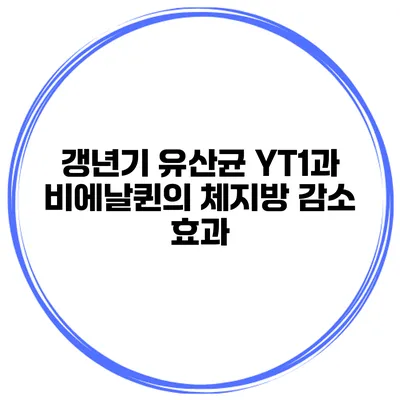 갱년기 유산균: YT1과 비에날퀸의 체지방 감소 효과