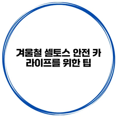 겨울철 셀토스 안전 카 라이프를 위한 팁