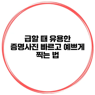 급할 때 유용한 증명사진 빠르고 예쁘게 찍는 법