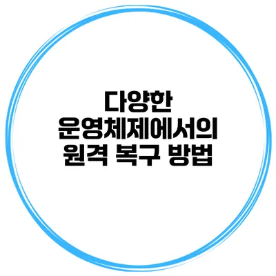 다양한 운영체제에서의 원격 복구 방법