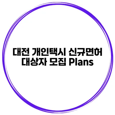 대전 개인택시 신규면허 대상자 모집 Plans