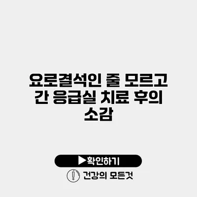 요로결석인 줄 모르고 간 응급실 치료 후의 소감